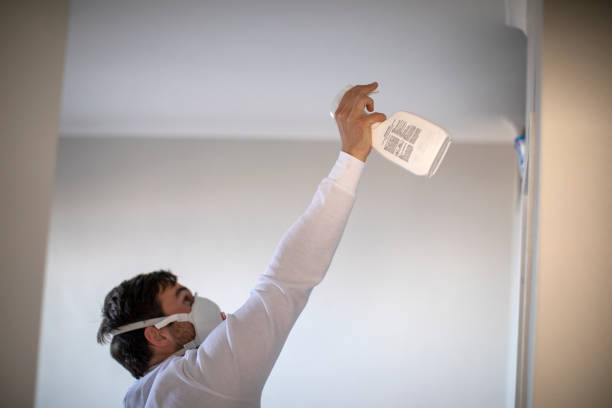 Best Localized Mold Remediation (e.g., coastal areas, humid climates) in East Grand Rapids, MI